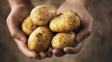 Fatos surpreendentes sobre batatas: a verdade sobre o amido