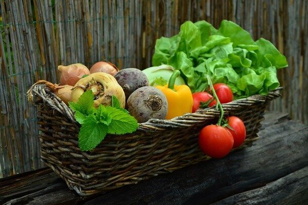 Os vegetais sazonais são mais saudáveis. (Foto: Pixabay.com)