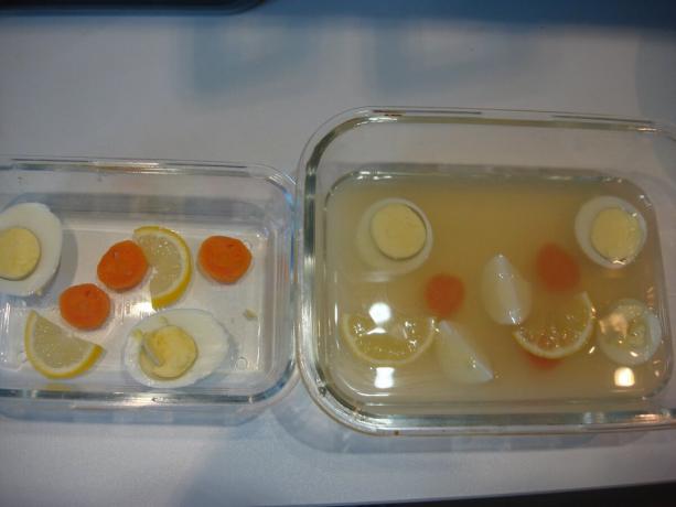 Foto tirada pelo autor (Postado limão, ovos e cenouras, caldo inundada) 