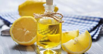 Fígado sapato e toxinas vasculares a partir de azeite e sumo de limão