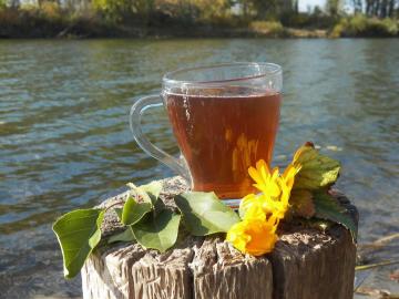 Um delicioso chá de ervas para a saúde e vitalidade