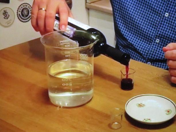 Mostramos experiência com vinho em água