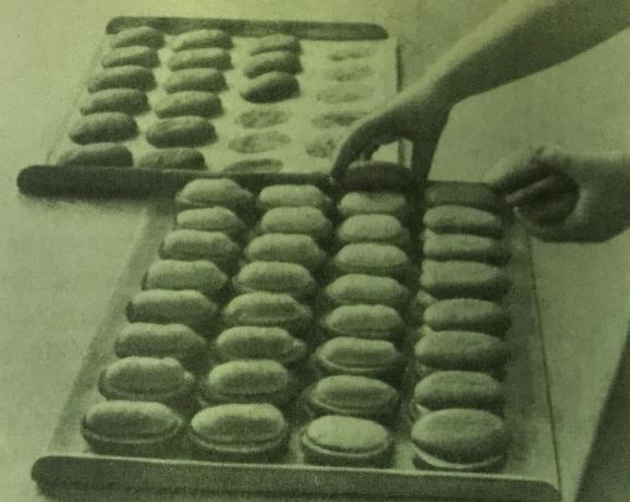 O processo de preparação de bolos "Bush". Foto do livro "Produção de doces e bolos," 1976 
