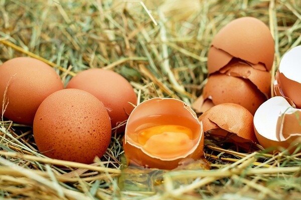 Os ovos não devem ser comidos frescos, pois isso ameaça o aparecimento de parasitas no corpo. (Foto: Pixabay.com)