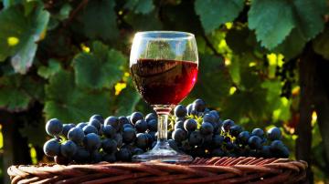 O que é bom para o vinho tinto saúde