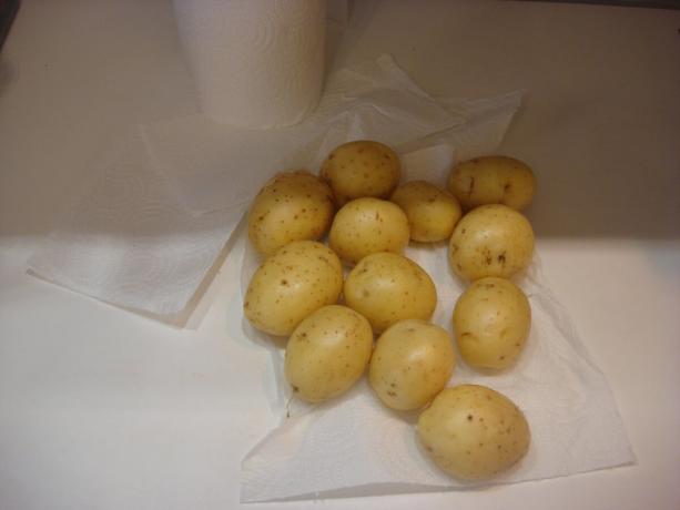 Foto tirada pelo autor (batatas lavadas, deslocamento para a direita)