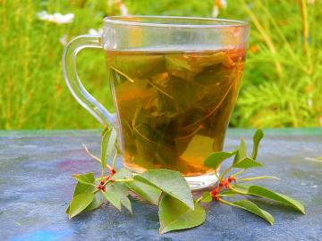 Vitamina chá das folhas de cereja para promover a saúde