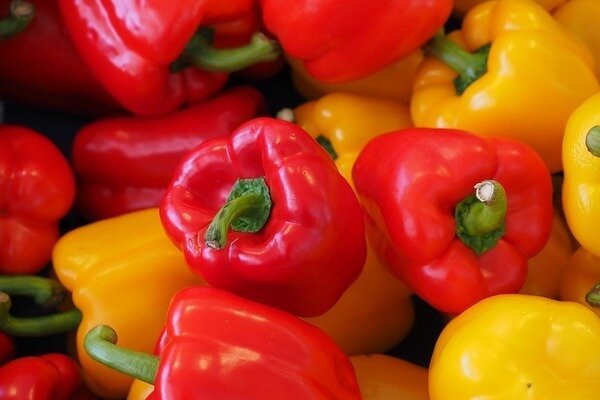 Escolha pimentas fortes e maduras. (Foto: Pixabay.com)