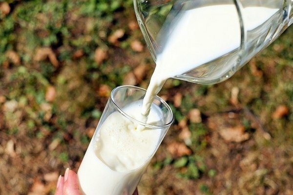 Mas se você sentir sensações desagradáveis ​​no estômago ou intestinos após um copo de leite, é melhor recusar em favor de produtos lácteos fermentados (Foto: Pixabay.com)