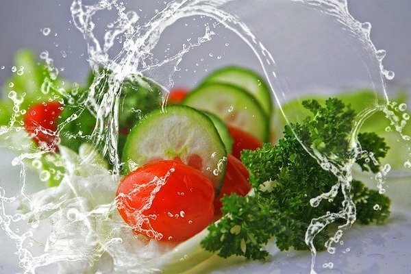 Como o rato é quase onívoro, você pode cozinhar 2 a 3 saladas diferentes (Foto: pixabay.com)