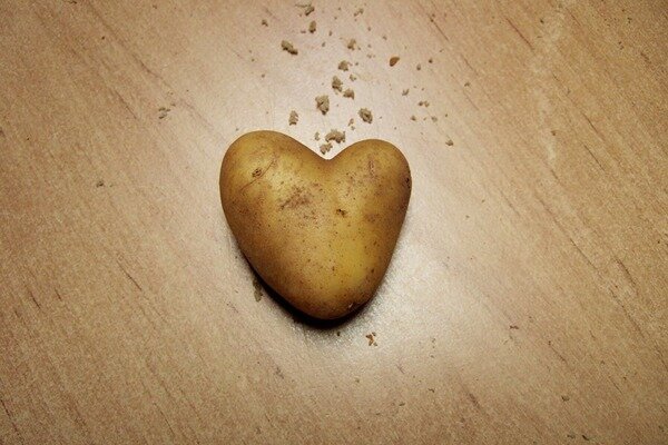 Batatas ajudam com doenças cardíacas (Foto: Pixabay.com)
