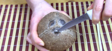 Como é fácil abrir um coco em casa. E como colher um bom coco.