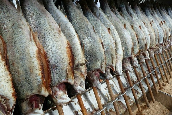 Infelizmente, a maioria das espécies de peixes que vêm da China são criadas em cativeiro (Foto: Pixabay.com)