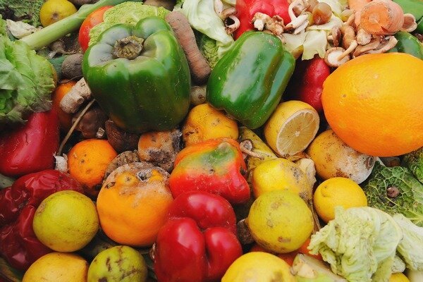 Frutas e vegetais podres não são a melhor escolha para emendar. (Foto: nycfoodpolicy.org)