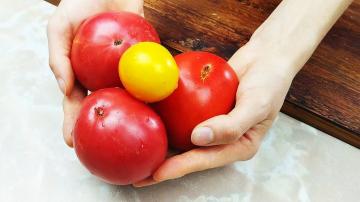 Como eu guardo tomates durante todo o inverno sem um freezer para mantê-los frescos em sabor e aparência