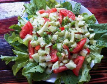 Salada de Verão com uma surpresa os toldos do gato!