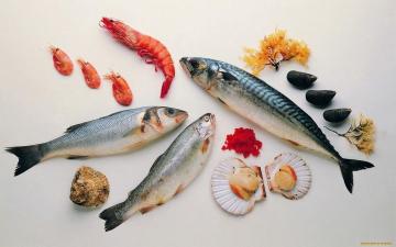 Como cozinhar frutos do mar e peixes de água salgada?