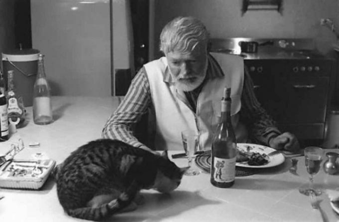 Ernest Hemingway jantar com o gato.