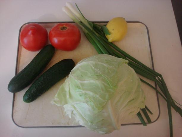 Foto tirada pelo autor (os principais ingredientes da salada de legumes)